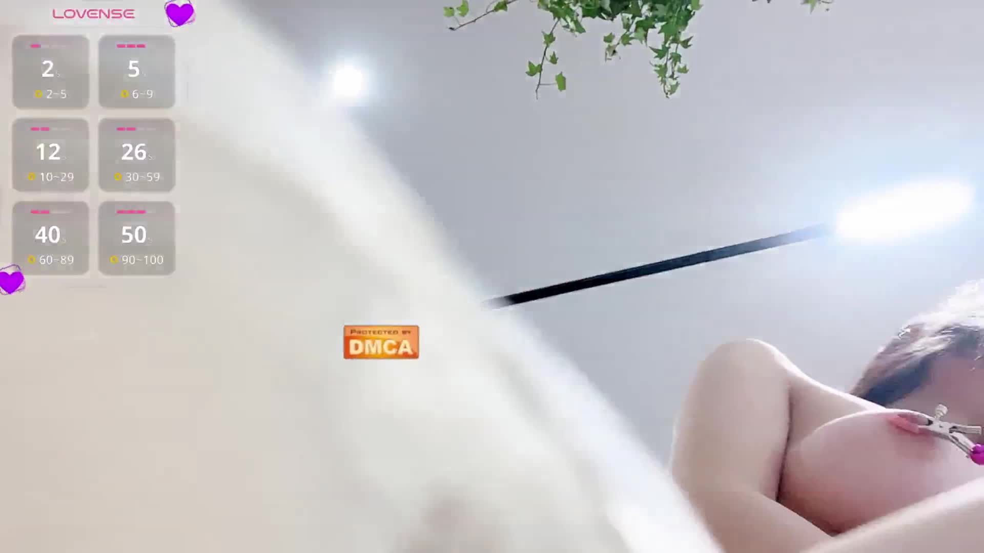 Nabi518-