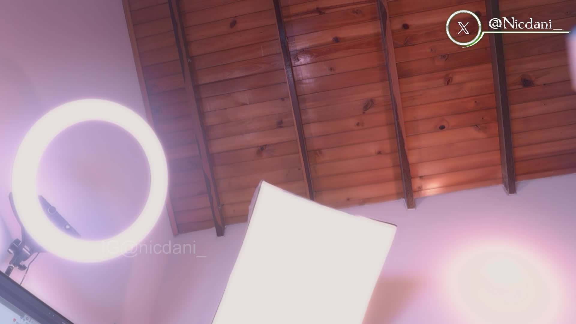 nicdani_1